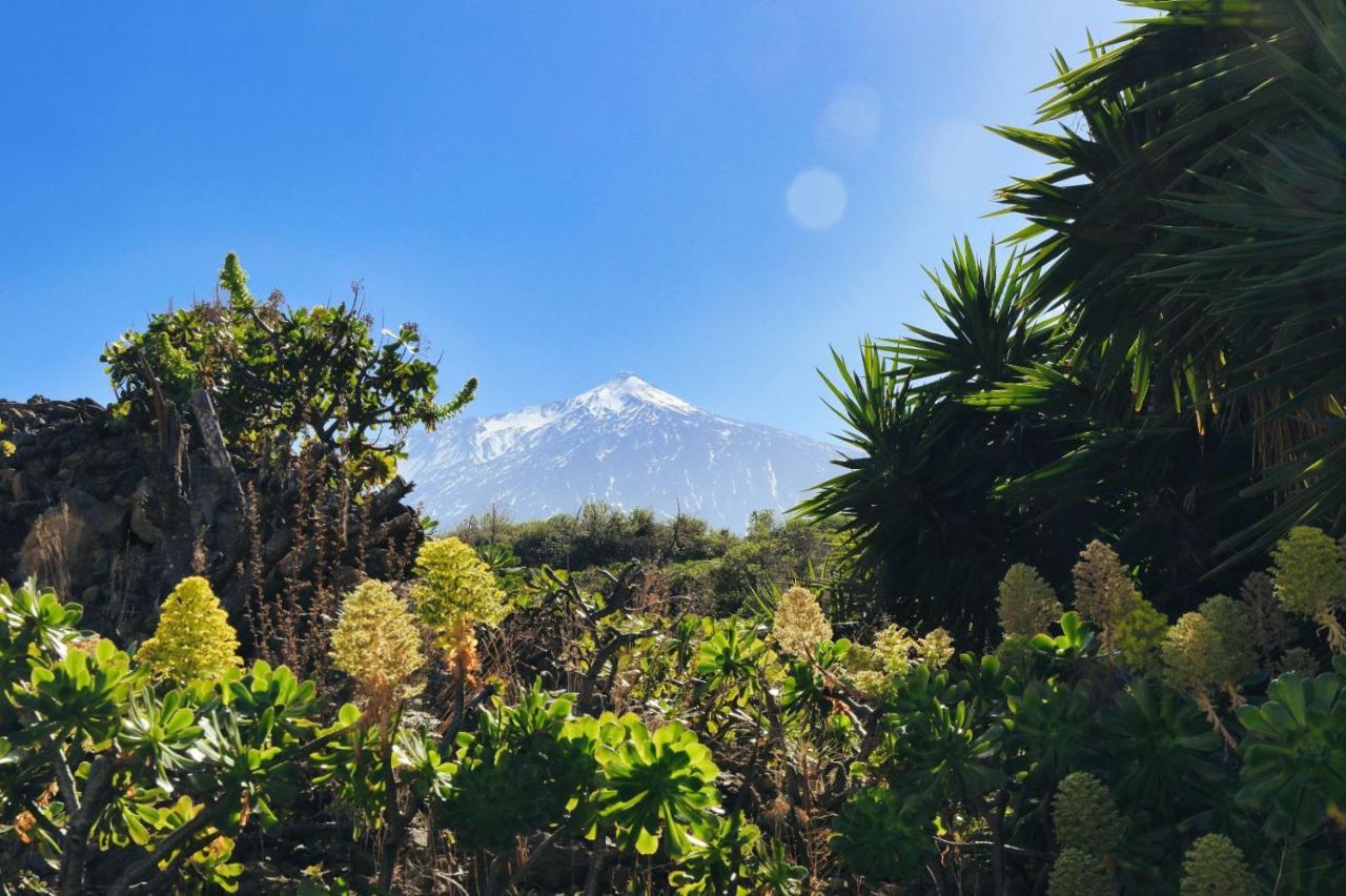 Finca Vino Tinto 2 อิคอดเดลอสวินอส ภายนอก รูปภาพ